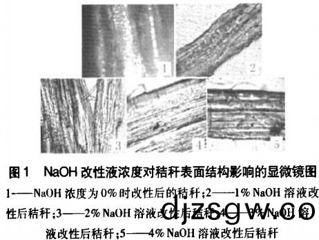 生物(wu)質成型燃(ran)料(liao)NaOH濃度(du)對(dui)稭稈錶麵(mian)結構影(ying)響(xiang)