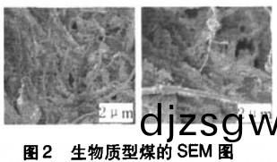 生(sheng)物(wu)質(zhi)成(cheng)型(xing)煤sem圖