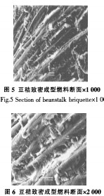 顆粒(li)機稭(jie)稈(gan)壓塊(kuai)機(ji)