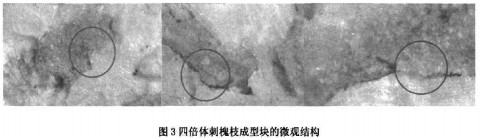 顆粒機稭稈壓(ya)塊機